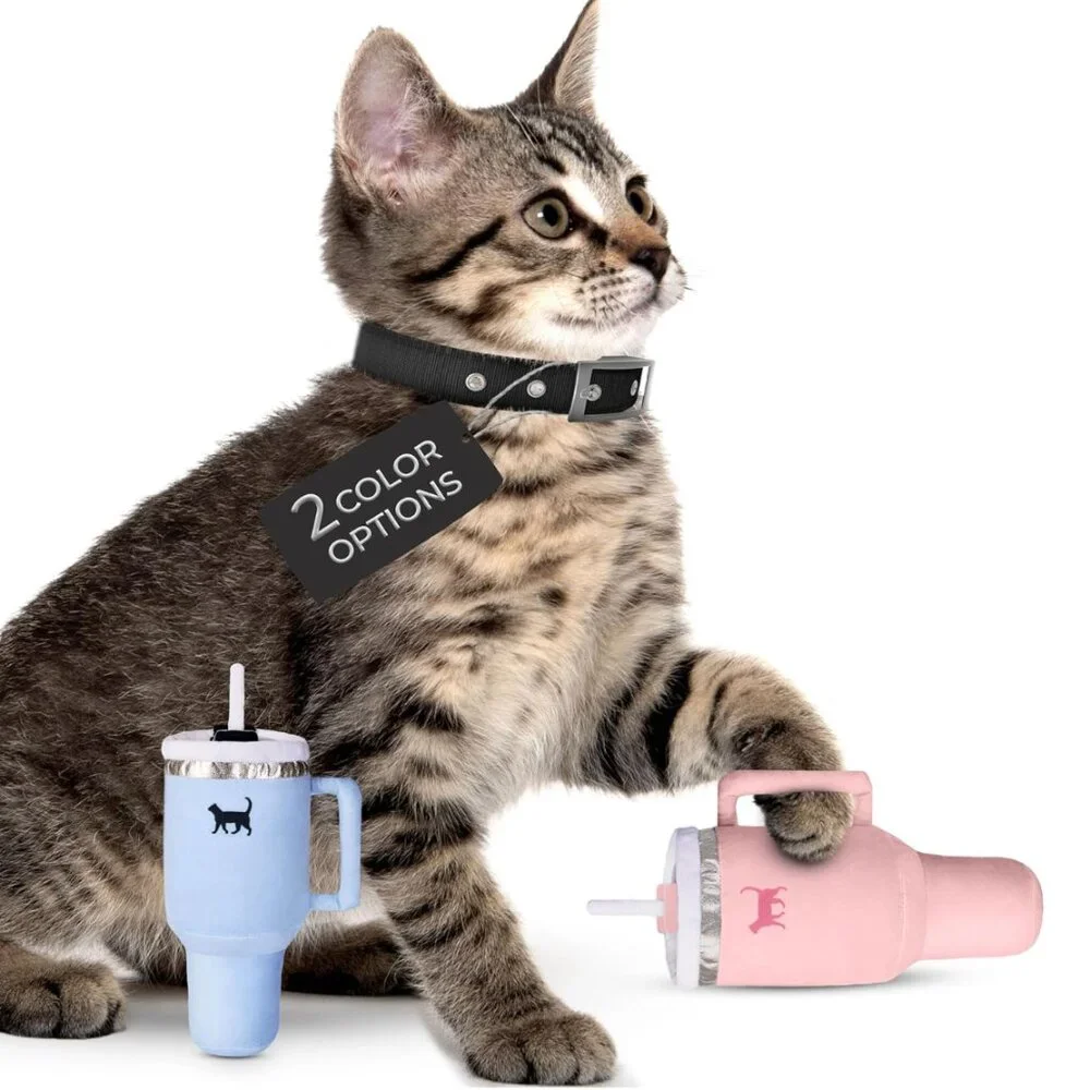 N/A trendy tumbler